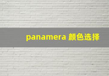 panamera 颜色选择